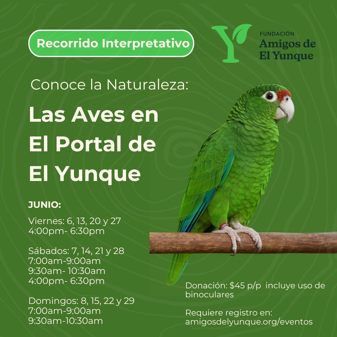 Avistamiento-de-Aves.jpg