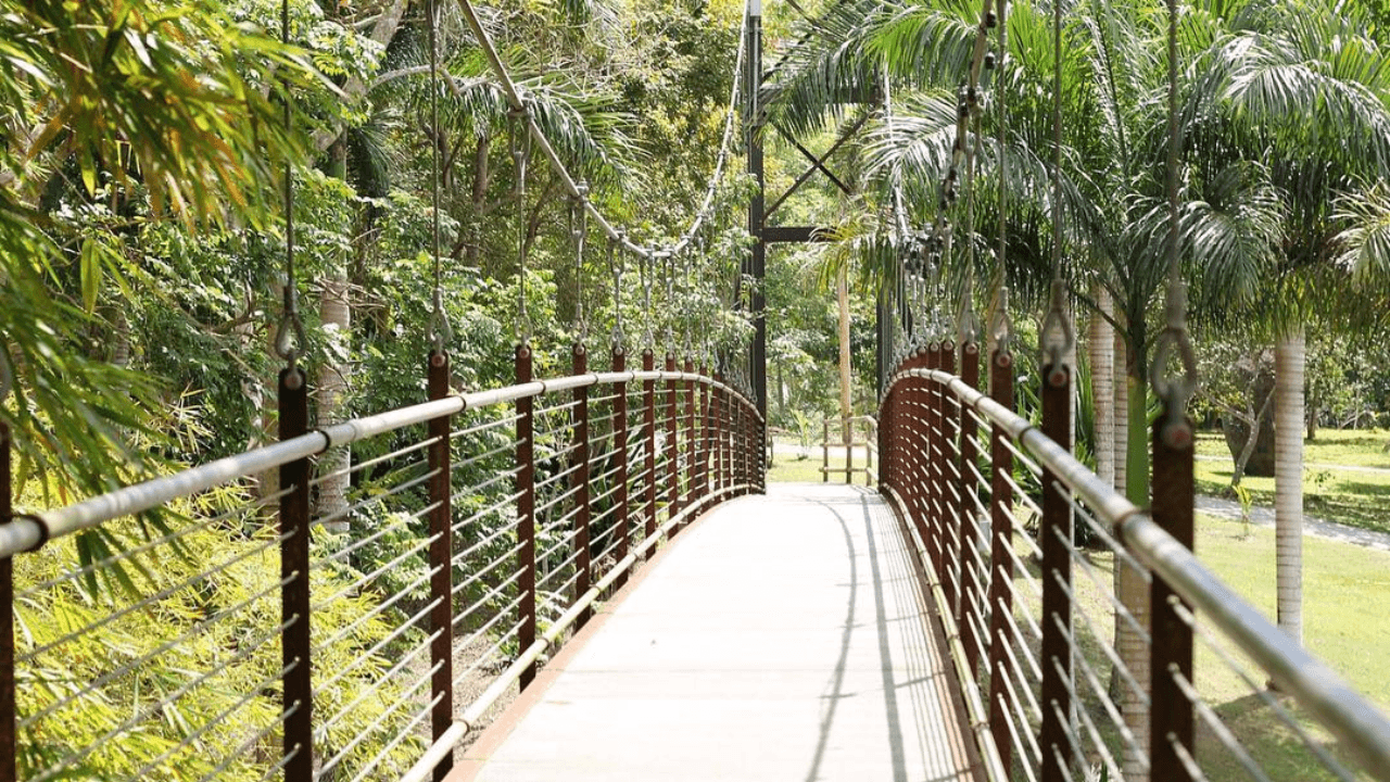 jardin-botanico-y-cultural-de-caguas