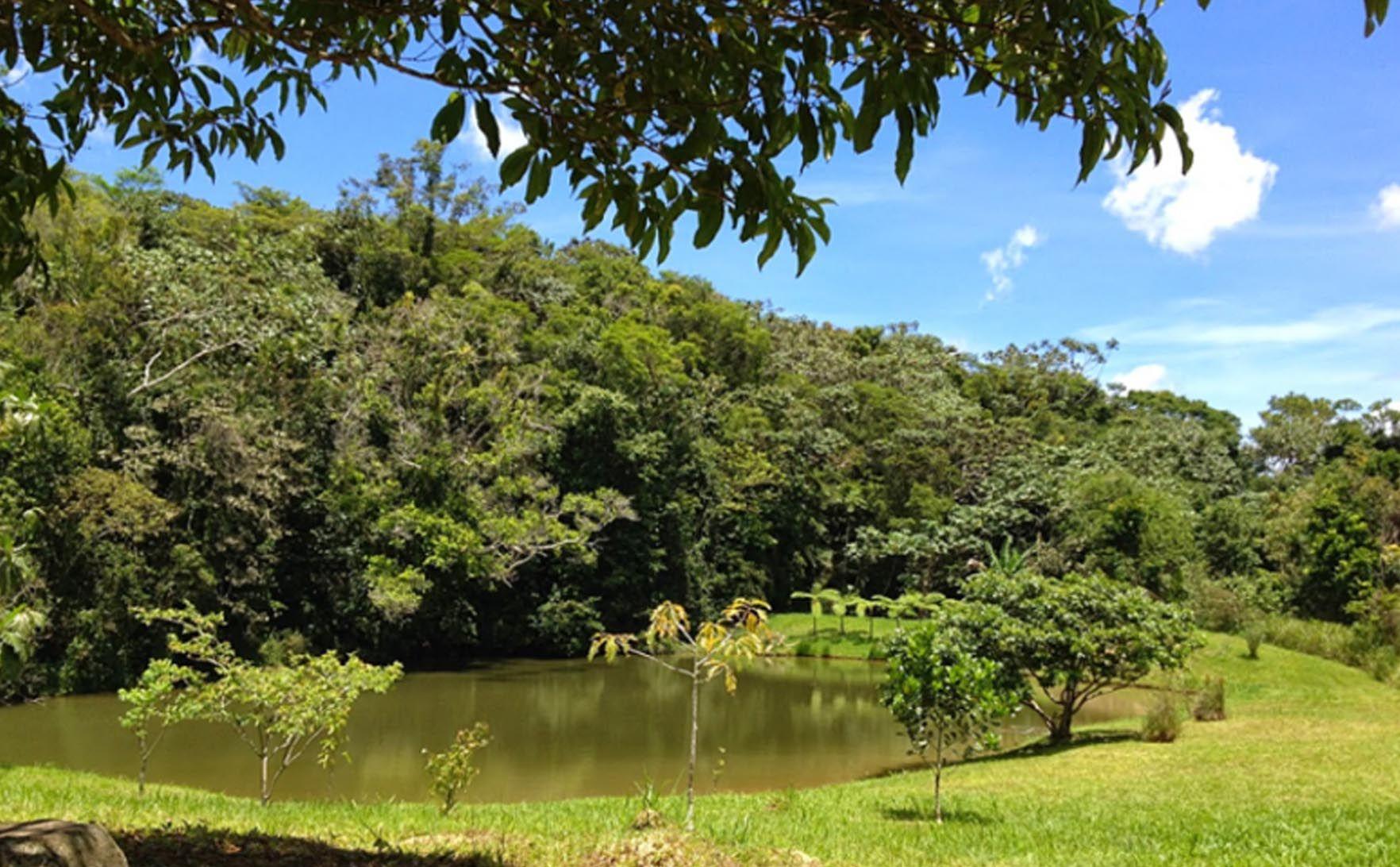 Bosque_Estatal_Monte_Choca_d26e6989fc.jpg
