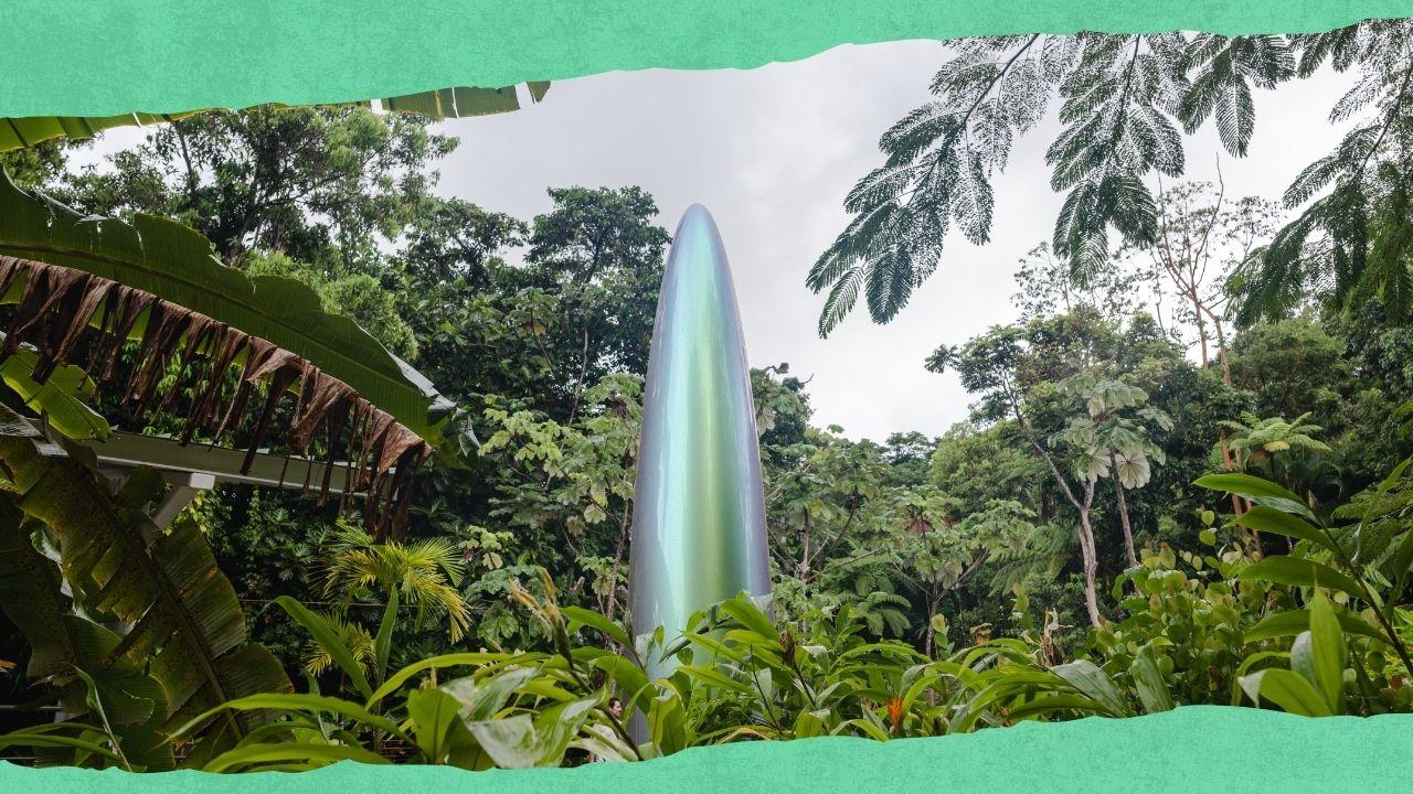 arteyunque-convierte-el-portal-en-galeria-al-aire-libre-con-exposicion-sobre-los-rios-del-bosque