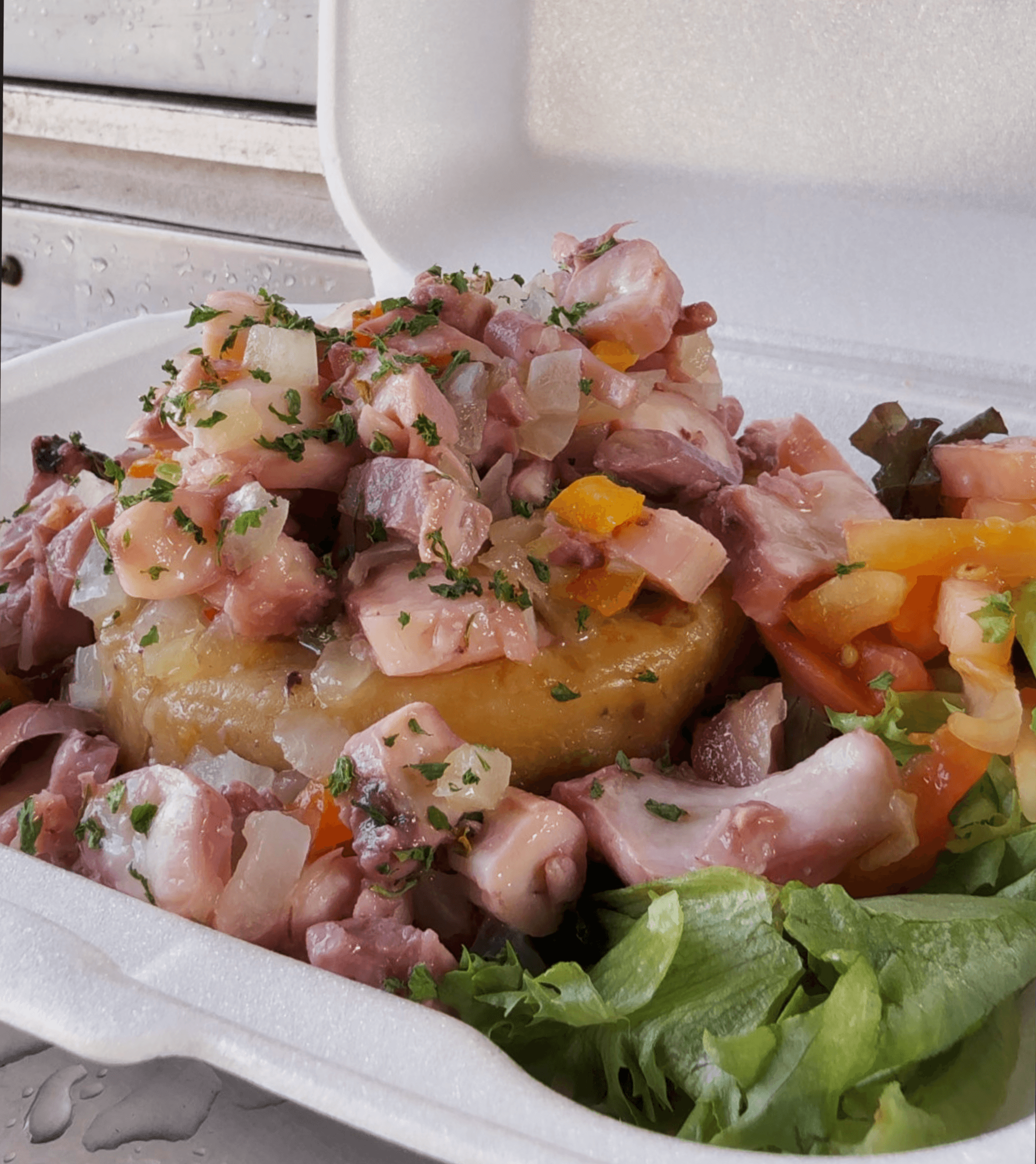 WILLYS-MOFONGO.png