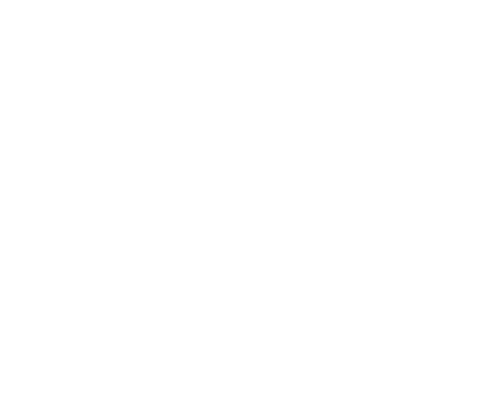 Teodoro 10K — logo