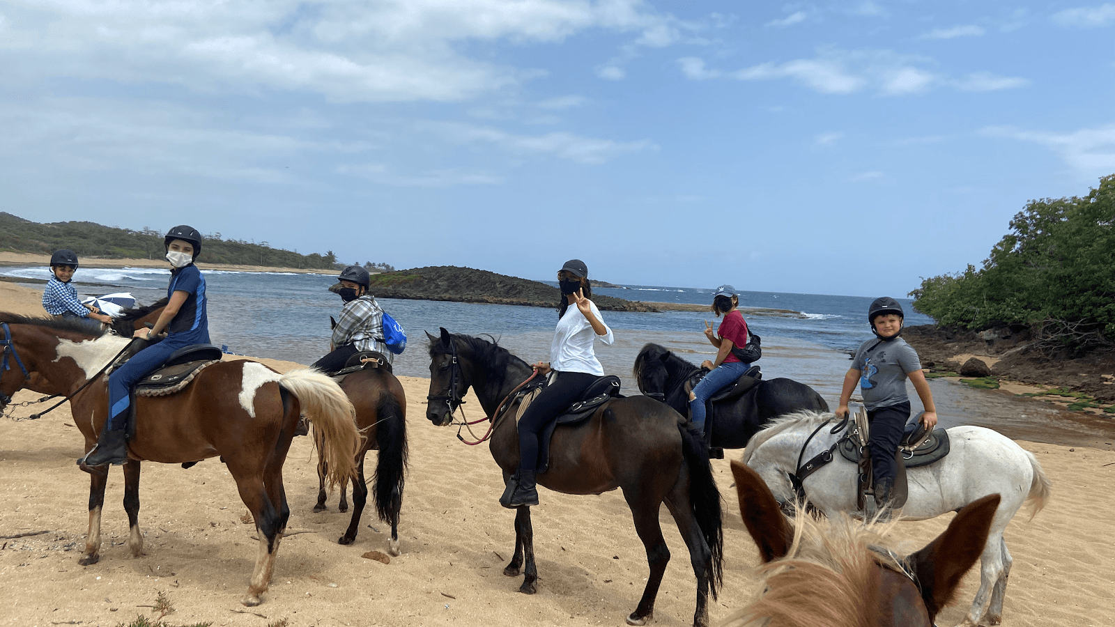 Google owner photo. Attribution: Horseback Riding Manati (https://maps.google.com/maps/contrib/113769215212481702837)