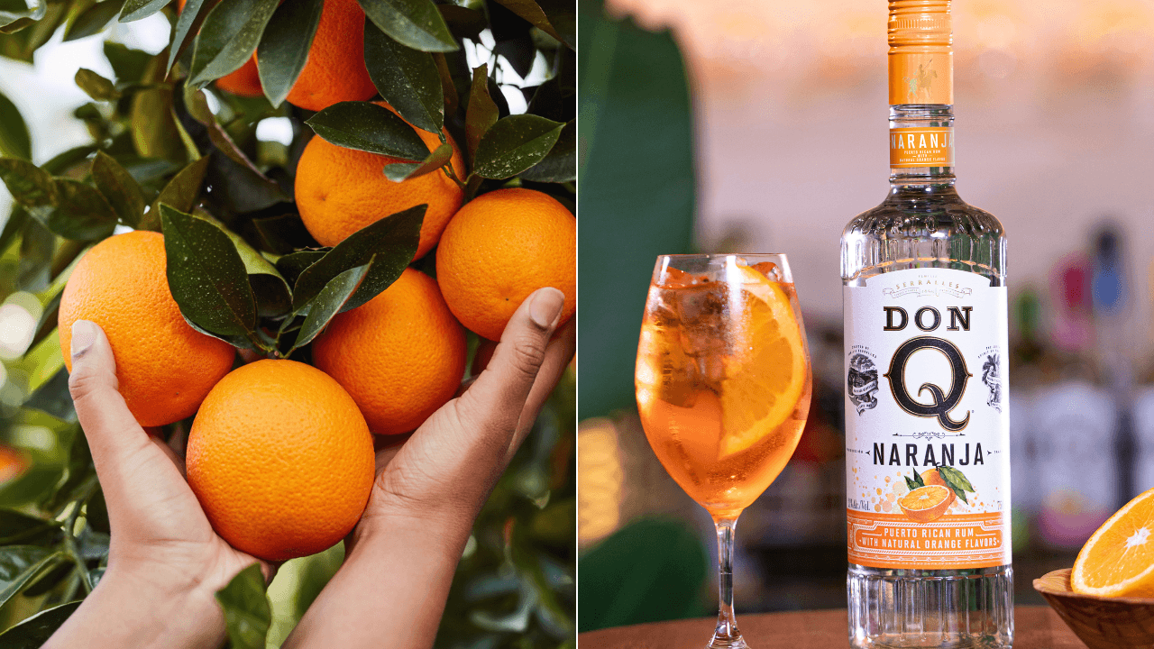 destileria-serralles-lanza-nuevo-sabor-de-don-q-naranja