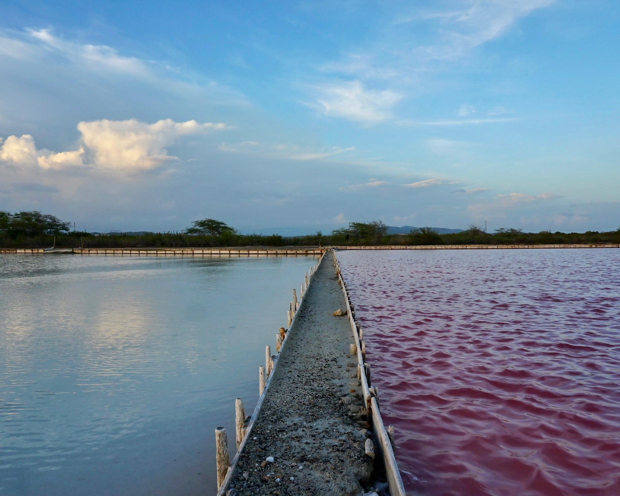 Salinas de Cabo Rojo