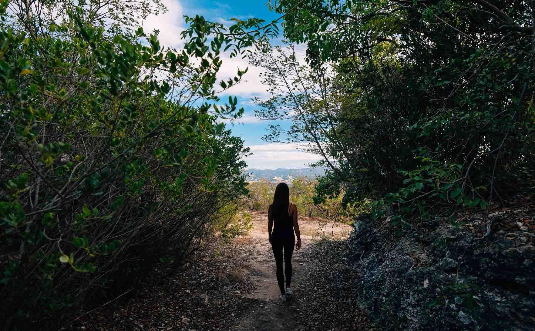 Bosque_Seco_Guanica_d6806f0bf3.jpg