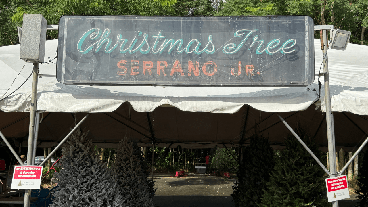 Arboles-de-Navidad-Serrano-JR.png