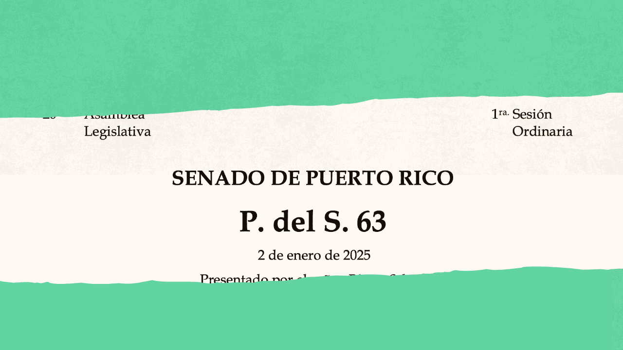 ps-63-ley-de-transparencia-informacion-publica