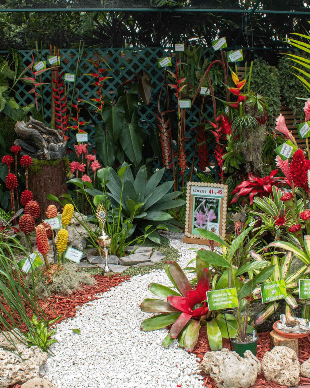 Festival-de-las-Flores-1.png