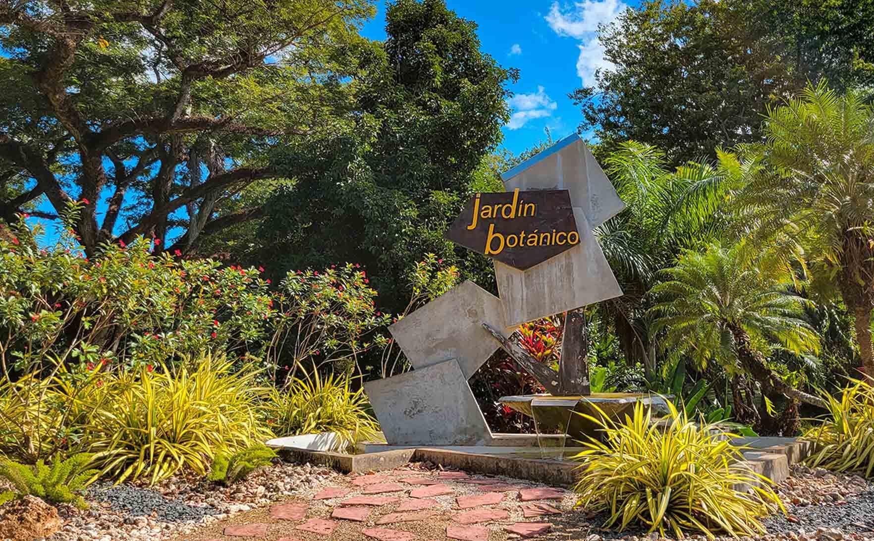 Jardin_Botanico_Rio_Piedras_941dbec697.jpg