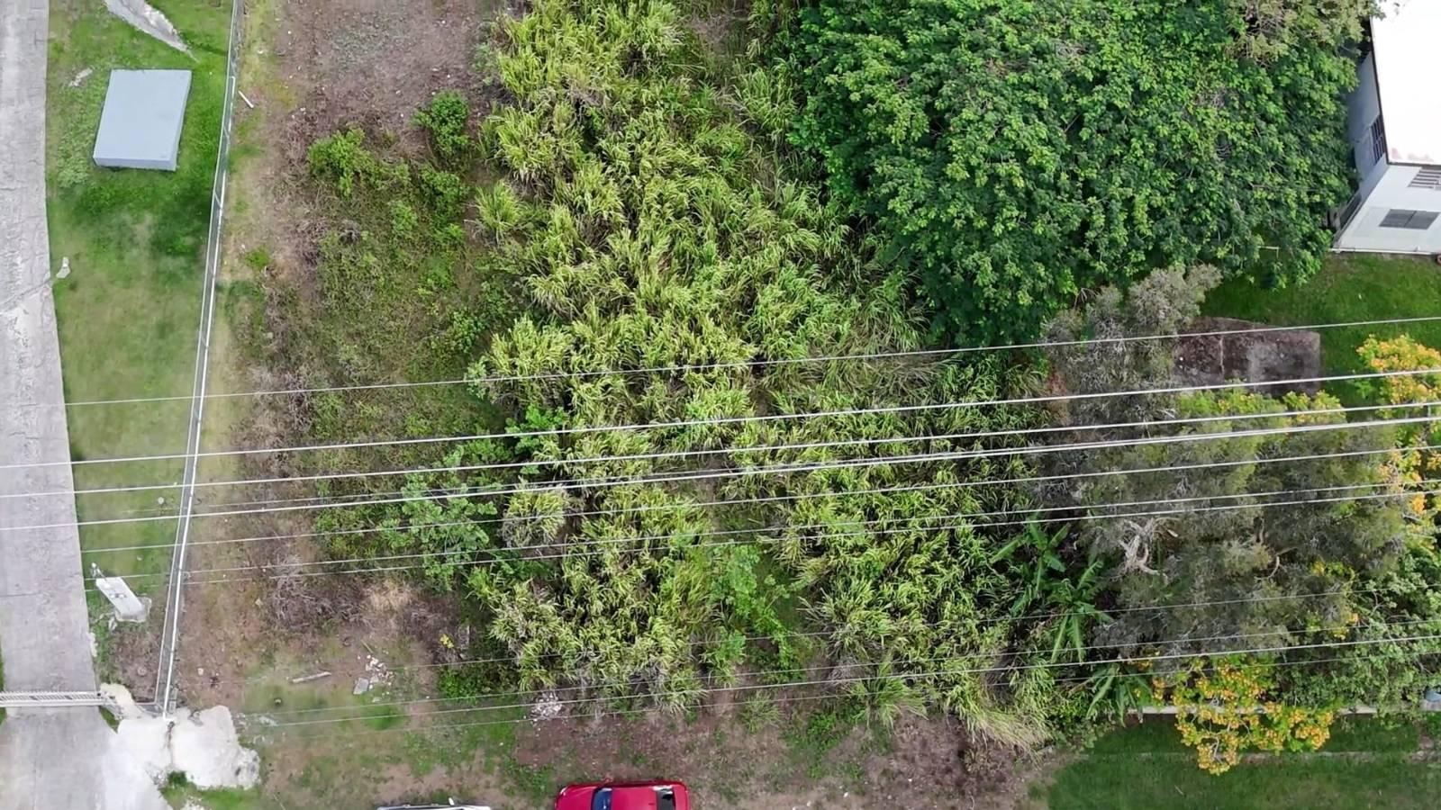 Terreno en Cayey