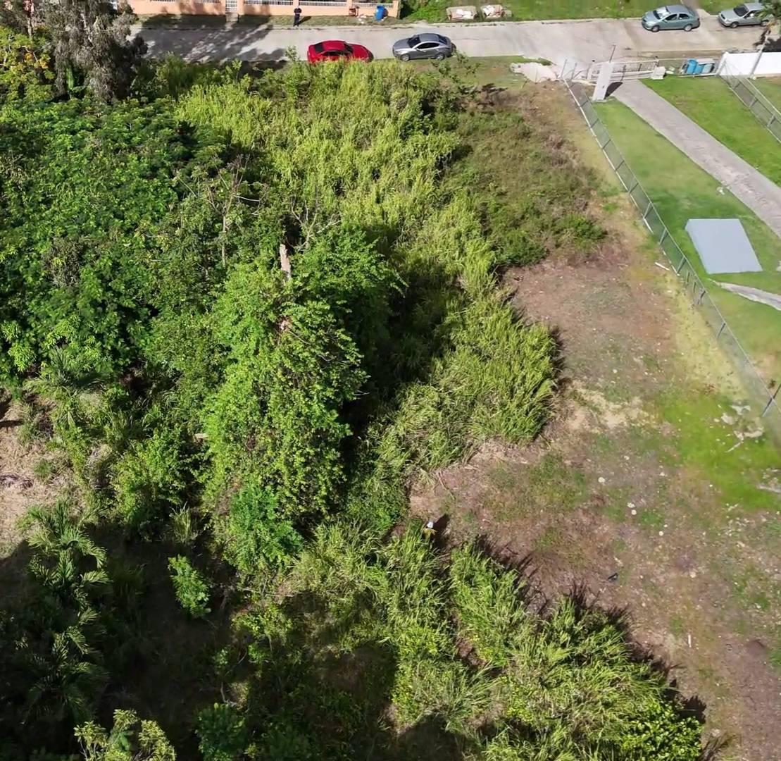 Terreno en Cayey