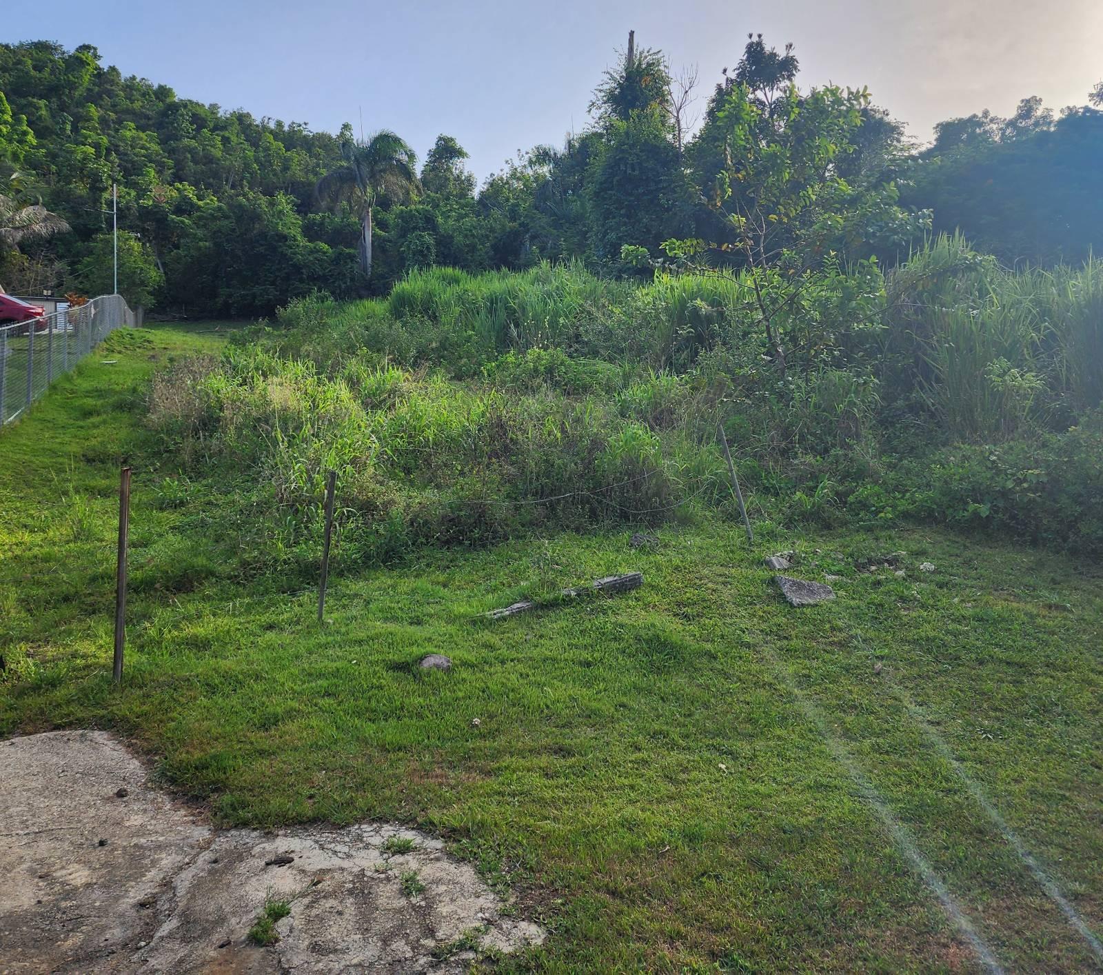 Terreno en Cayey