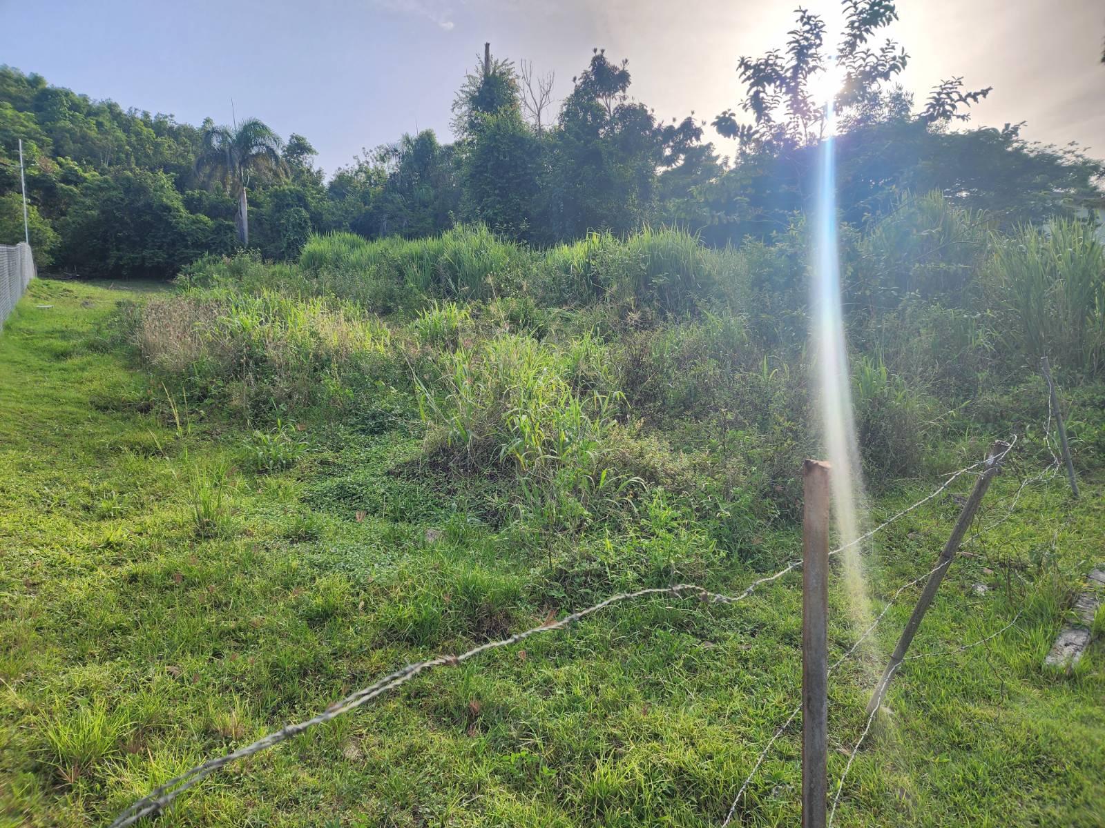 Terreno en Cayey