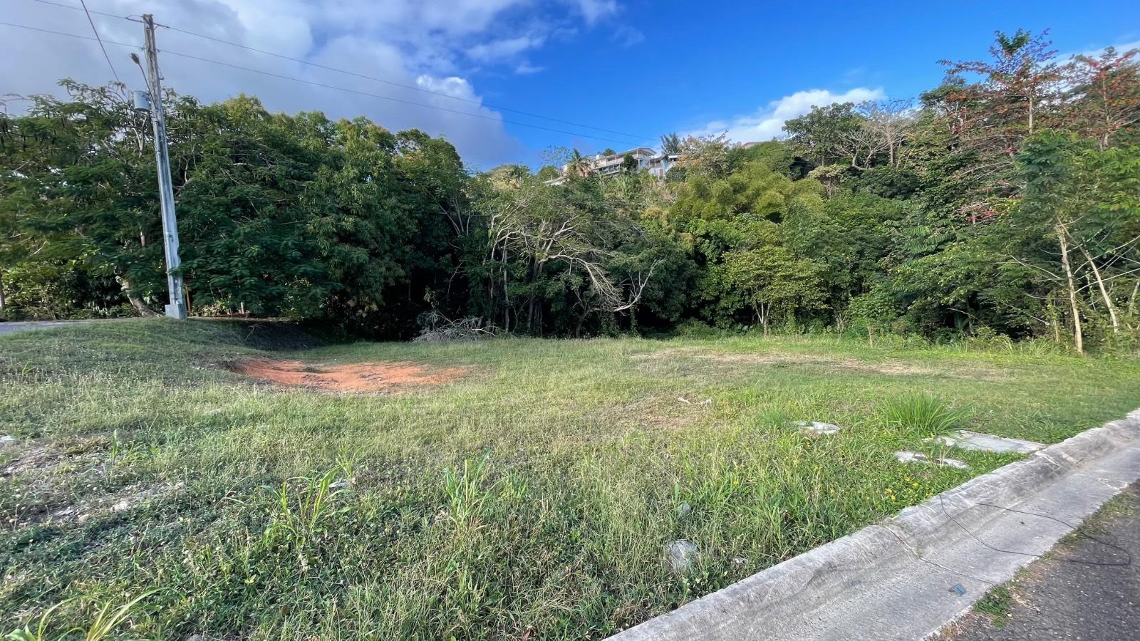 Terreno en Anasco