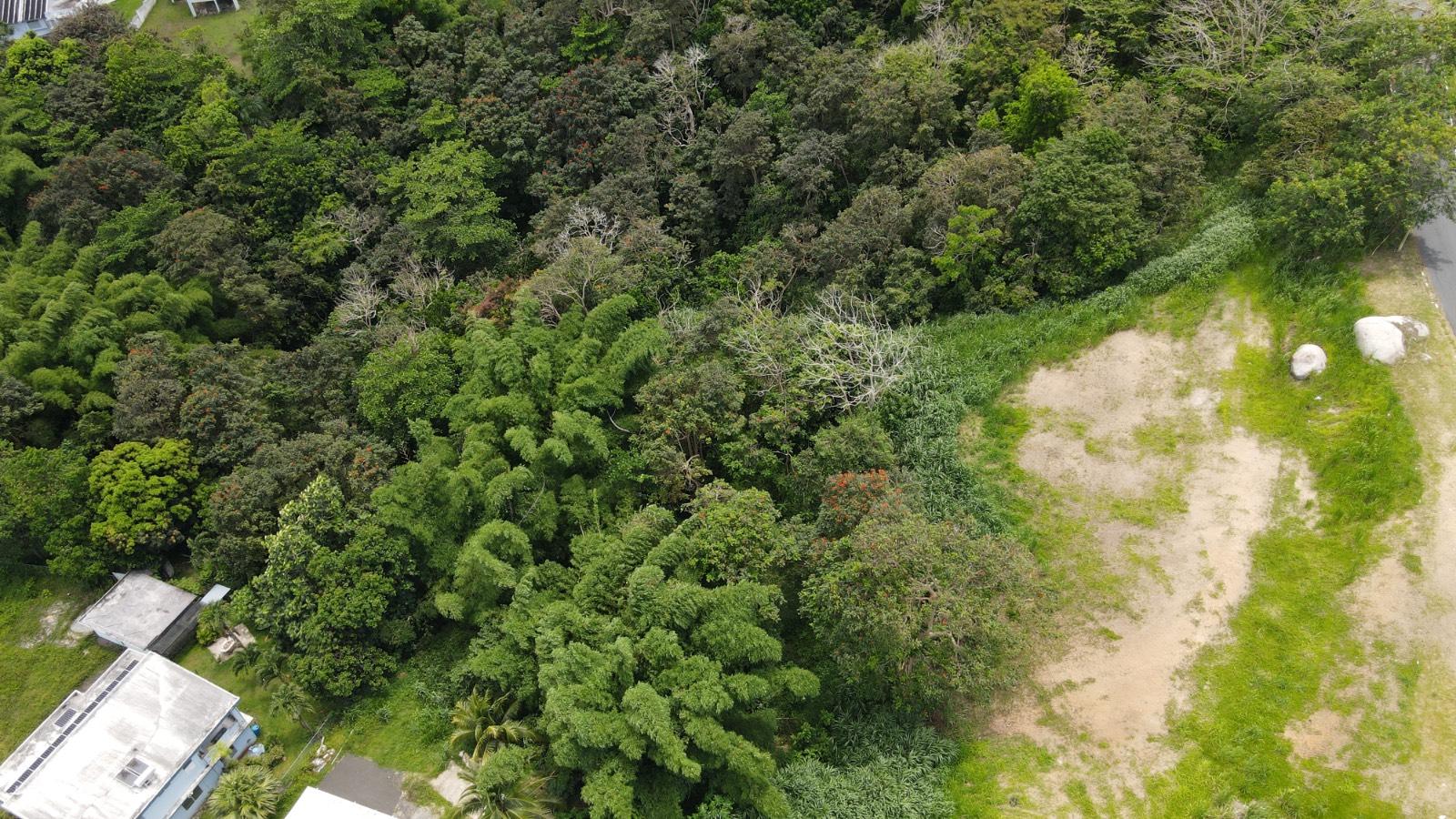 Terreno en Humacao