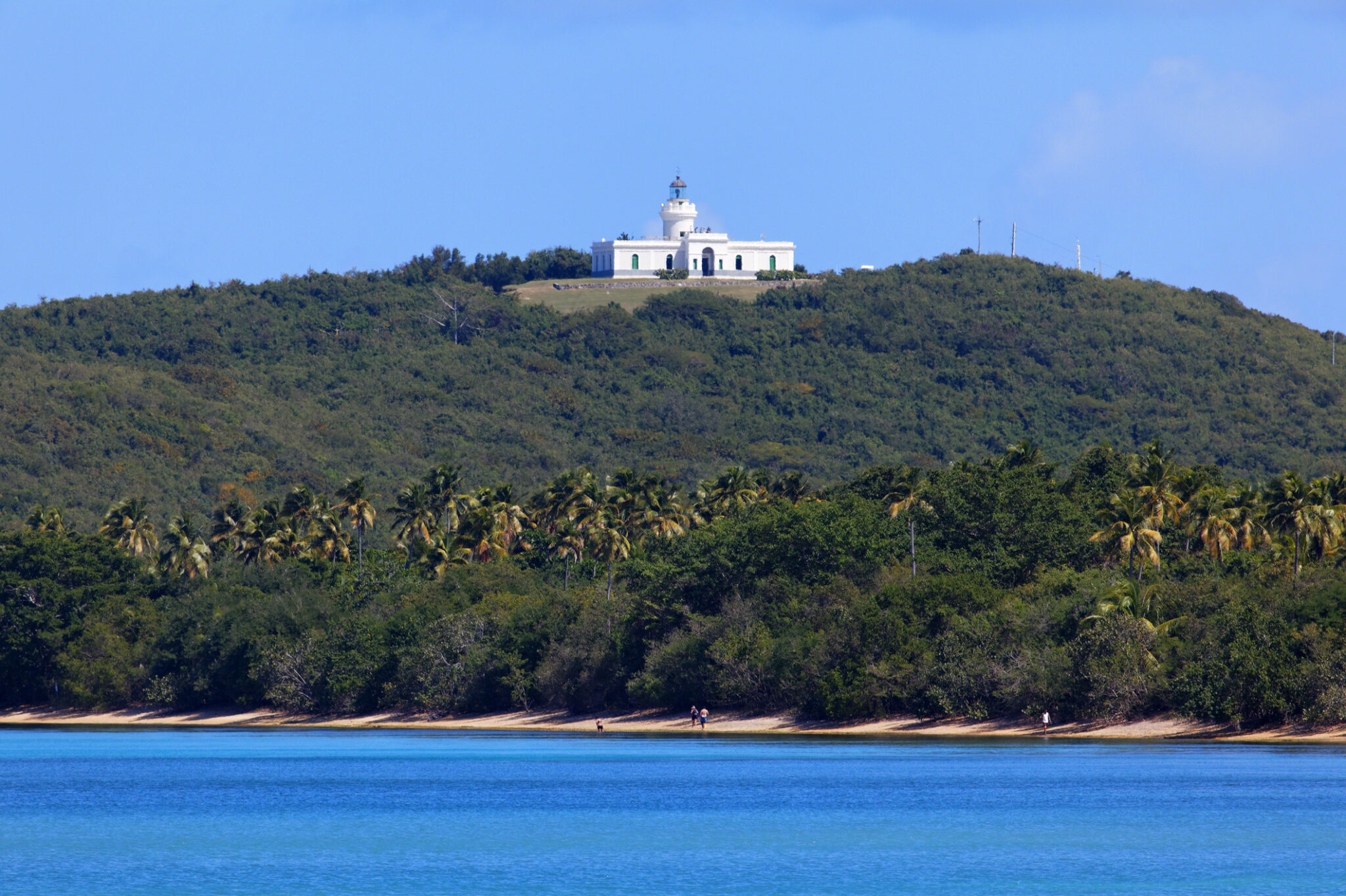 Things To Do In Fajardo Puerto Rico Platea 8300