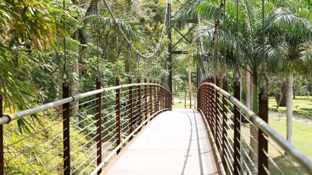 Recorridos Y Senderos Descubre Qu Hacer En El Jard N Bot Nico Y Cultural De Caguas Plateapr